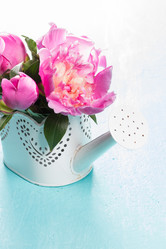 Similar image 20157647