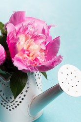 Similar image 20157654