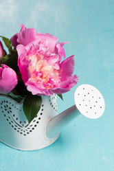 Similar image 20157656