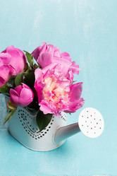 Similar image 20157672