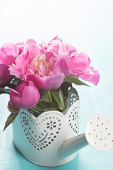 Similar image 20157674