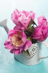 Similar image 20157675