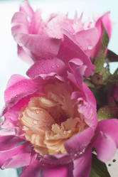 Similar image 20157676