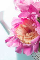 Similar image 20157677