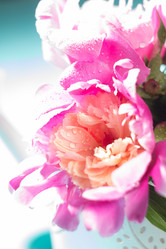 Similar image 20157872