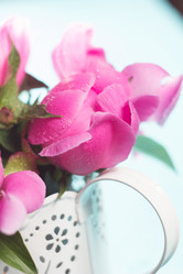 Similar image 20157873