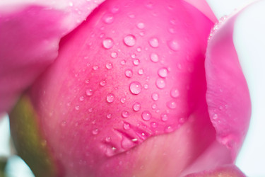 Similar image 20157886