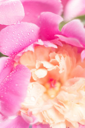 Similar image 20157890