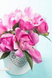 Similar image 20157892