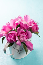 Similar image 20157895