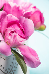 Similar image 20157685