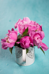 Similar image 20157687