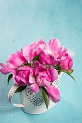 Similar image 20157688