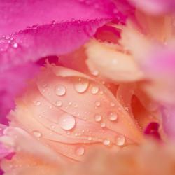 Similar image 20157690