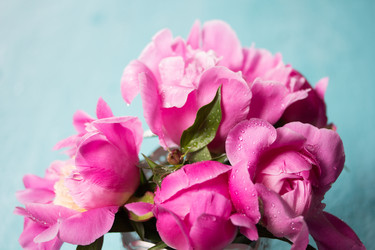 Similar image 20157691