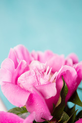 Similar image 20157692