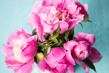 Similar image 20157693