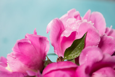 Similar image 20157694