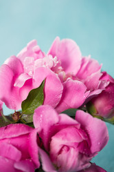 Similar image 20157710