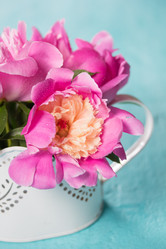 Similar image 20157716