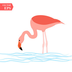 Similar image 20160194