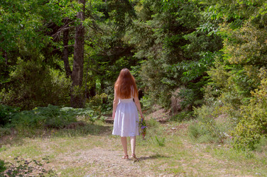 Similar image 20160261