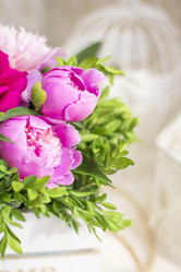 Similar image 20158033