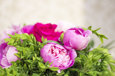 Similar image 20158036