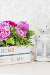 Similar image 20158039