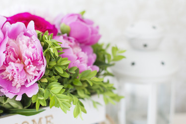 Similar image 20158044