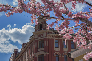 Similar image 20160127