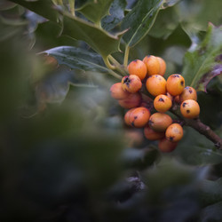 Similar image 20160132