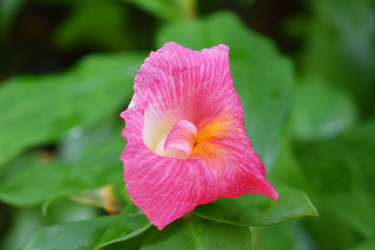 Similar image 20160318