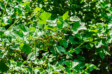 Similar image 20160117