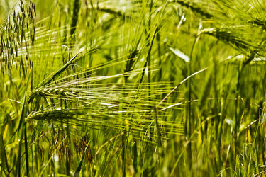 Similar image 20160122