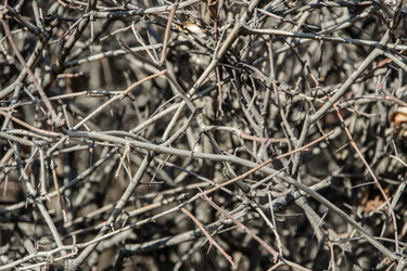 Similar image 20160626