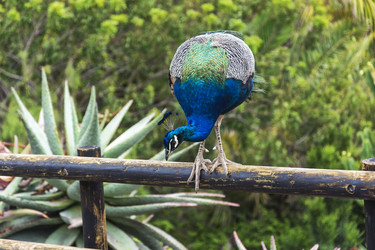 Similar image 20160157