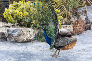 Similar image 20160158