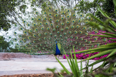 Similar image 20160159