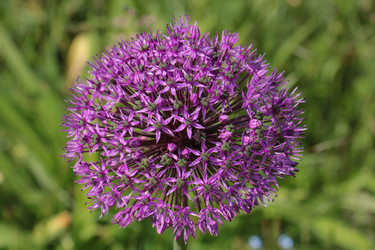 Similar image 20160304