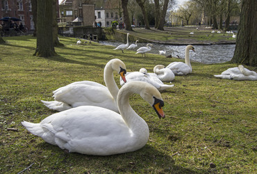 Similar image 20160331