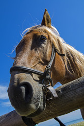 Similar image 20160373