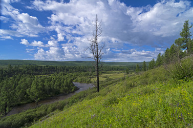 Similar image 20160355