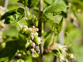 Similar image 20160066