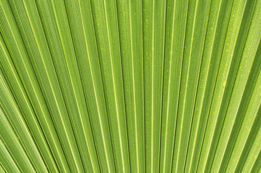 Similar image 20160181