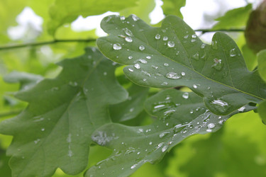 Similar image 20160282