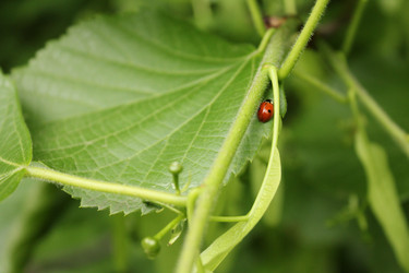 Similar image 20160283