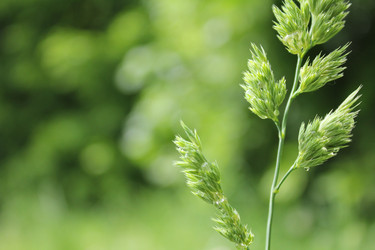 Similar image 20160284