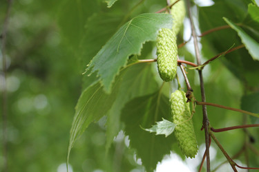 Similar image 20160285