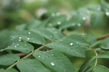 Similar image 20160286